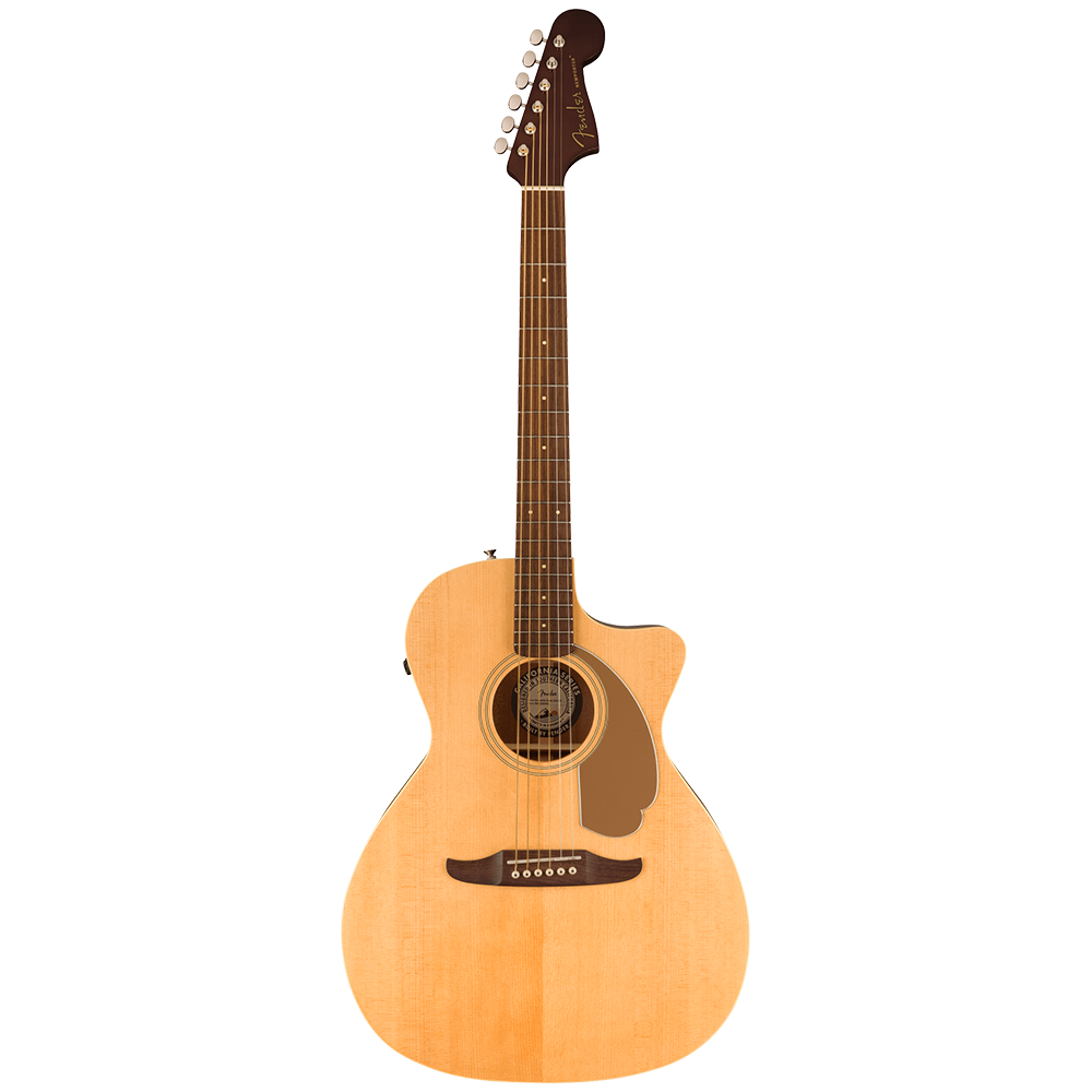 Fender Newporter Player Dreadnought Cutaway Semi Acoustic Guitar