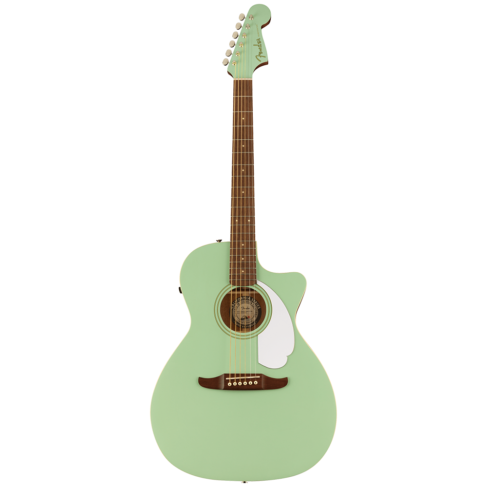 Fender Newporter Player Dreadnought Cutaway Semi Acoustic Guitar