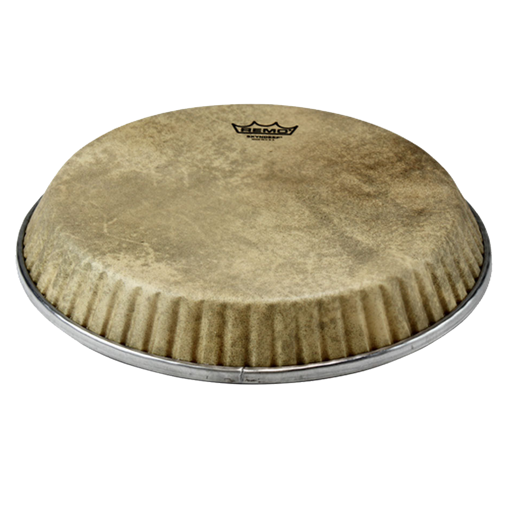 Remo Conga Drum Head Symmetry 11.75" D2 Skyndeep